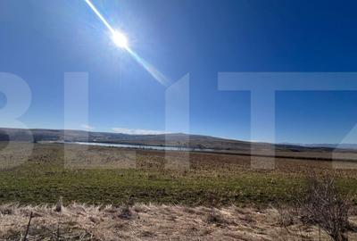 Teren de 17000 mp, în Ciurila