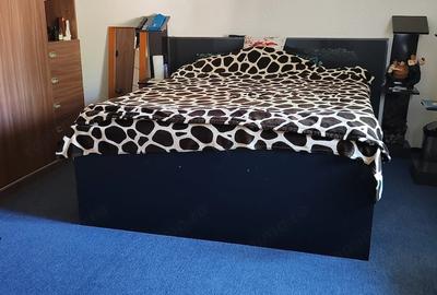 Casă cu 4 camere cu Teren 1600 Mp în Cogealac - 6