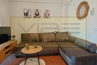 Apartament cu 2 camere nedecomandat, mobilat în Vișani - 10
