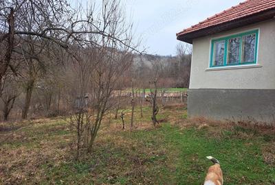 Casă cu 3 camere în Vladimir