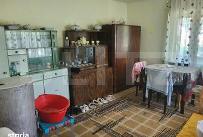 Casă cu 3 camere cu Teren 4200 Mp în Mihai Viteazu - 2