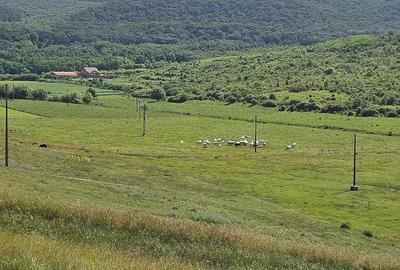Teren de 7200 mp, în Crețești - 3