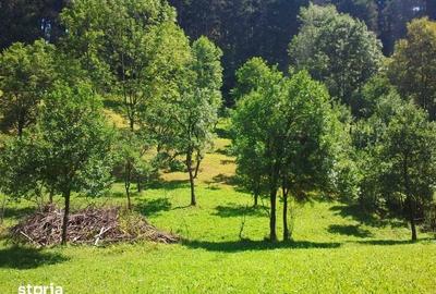 Teren de 4350 mp, în Posada
