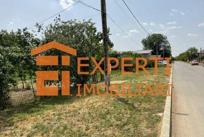 Teren Construcții intravilan de 2581 mp, în Mihail Kogălniceanu - 10