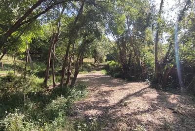 Teren de 4786 mp, în Jugureni - 4