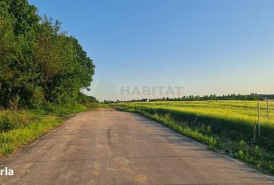 Teren de 8569 mp, în Ciolpani - 4