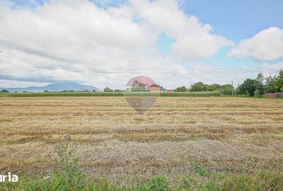 Teren de 800 mp, în Stupini