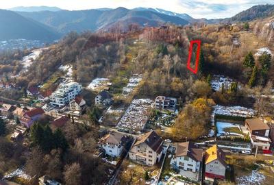 Teren Construcții intravilan de 2710 mp, în Schei - 1