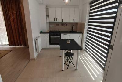 Garsonieră decomandată în Bucium - 5