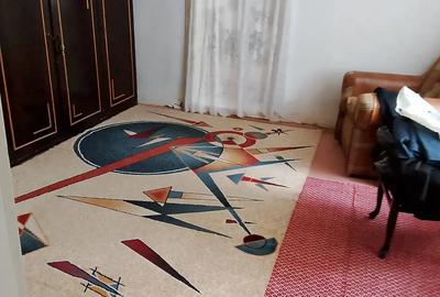 Casă cu 3 camere cu Teren 1400 Mp în Tudor Vladimirescu