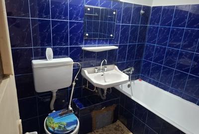 Garsonieră în Brazda lui Novac