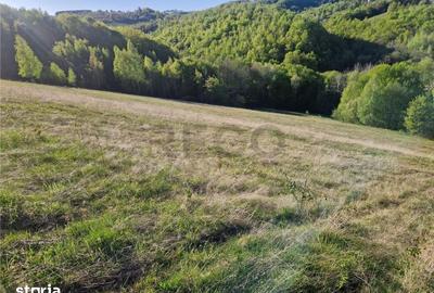 Teren de 33210 mp, în Girișu de Criș - 7