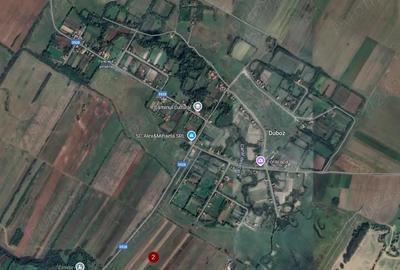 Teren în Duboz - 3