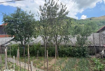 Casă cu 2 camere cu Teren 2600 Mp în Poieni - 8