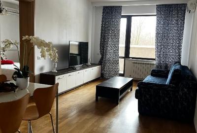 Apartament cu 2 camere semidecomandat, mobilat în Băneasa - 1