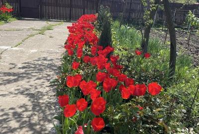 Casă cu 4 camere în Florica - 4