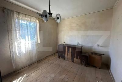 Casă cu 4 camere cu Teren 2534 Mp în Brănișca - 1