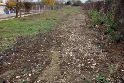 Teren de 440 mp, în Bereasca - 1