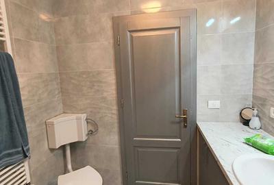 Casă cu 3 camere în Fibiș - 1