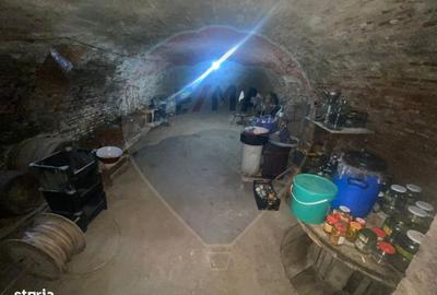 Casă cu 4 camere cu Teren 2522 Mp în Brateiu - 6