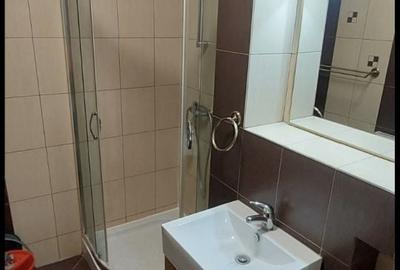 Garsonieră în Paltiniș - 3