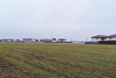 Teren de 600 mp, în Berceni