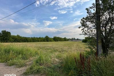 Teren de 800 mp, în Viile Satu Mare - 2