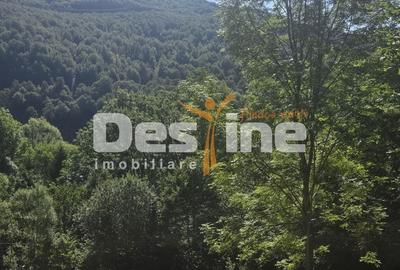 Teren de 2000 mp, în Valea Doftanei