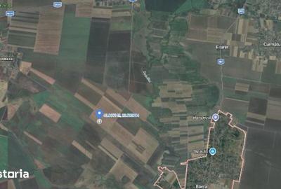 Teren de 5140 mp, în Radovan - 2