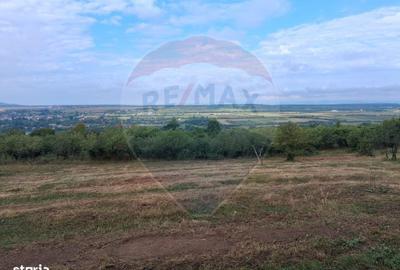 Spațiu comercial, în Hovrila - 3