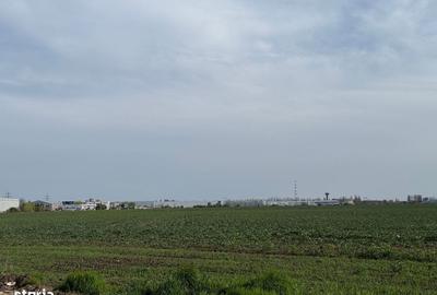 Teren de 3500 mp, în Berceni