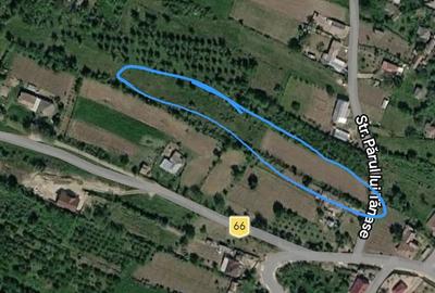 Teren de 4000 mp, în Răducăneni