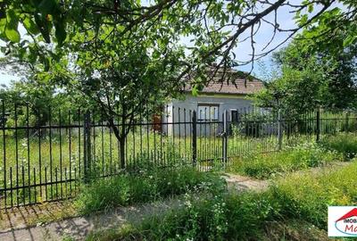 Casă individuală cu 2 camere cu Teren 8052 Mp în Viile Satu Mare - 3