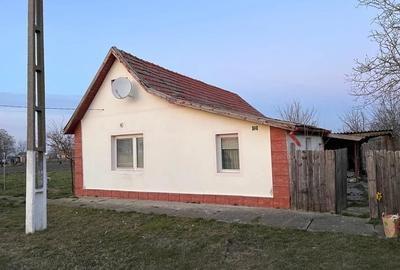 Casă cu Teren 1250 Mp în Beba Veche