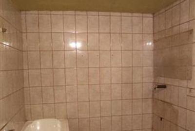 Duplex cu 2 camere cu Canalizare în Central - 11