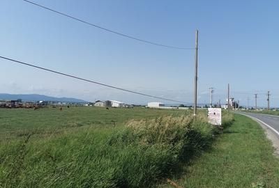 Teren Construcții intravilan de 31400 mp, în Exterior Nord - 4