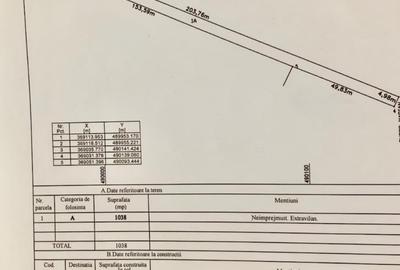 Teren agricol extravilan de 2388 mp, în Albota - 5