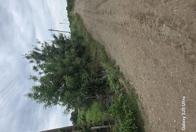 Teren de 3400 mp, în Copăceanca - 6
