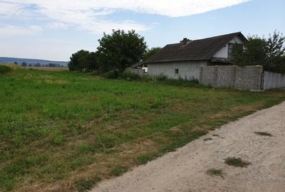 Teren de 2500 mp, în Timișești - 4