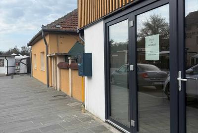 Spațiu comercial, de 25 mp, în Băile Felix