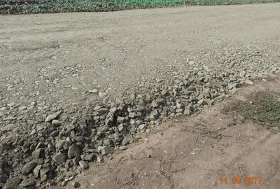 Teren Construcții intravilan de 542 mp, în Zimandcuz - 5