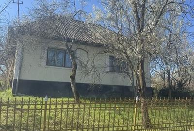 Casă cu 3 camere în Urmeniș - 8