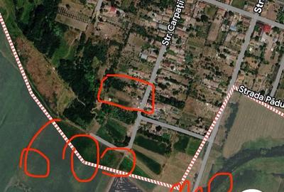 Teren de 20000 mp, în Giurgița - 1