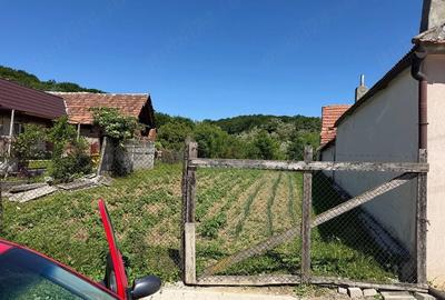 Teren de 600 mp, în Bradu - 3