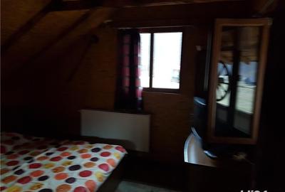 Teren de 5500 mp, în Cerna-Sat - 4