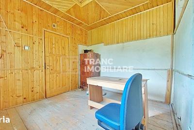 Spațiu comercial, de 117 mp, în Conop - 11