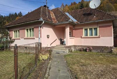 Casă cu 3 camere în Avram Iancu
