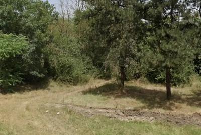 Teren de 12000 mp, în Cobadin - 2