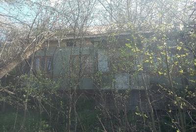 Casă cu 3 camere cu Teren 7300 Mp în Băleasa - 4