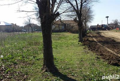 Teren de 2600 mp, în Giurgița - 4